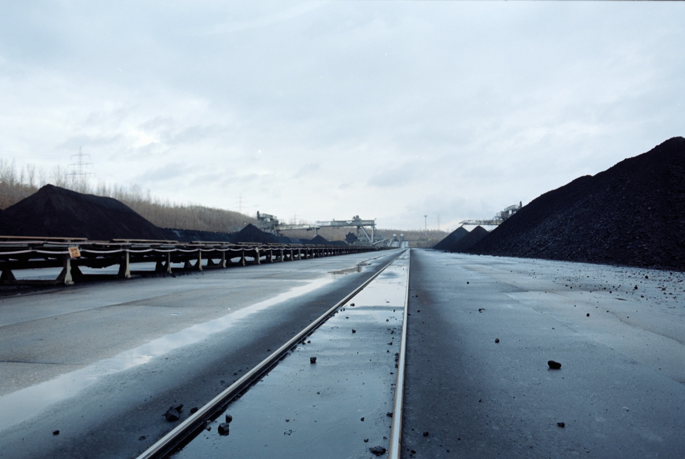 AHP film 2004 11 001 sc240828 img19 NLP